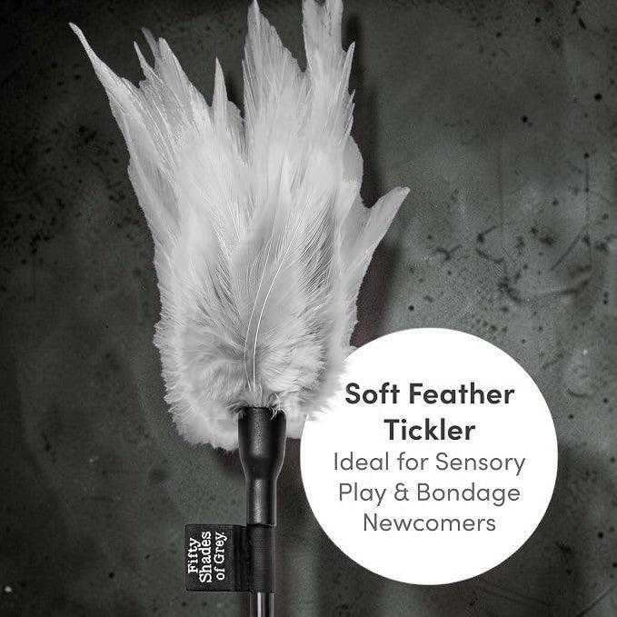Fifty Shades of Grey Tease Feather Tickler Gray