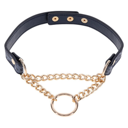 Cougar Day Collar